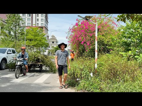 3 Days, 35 Hours, Sidewalk Forgotten for More Than a Decade – Revival in 51 Minutes.