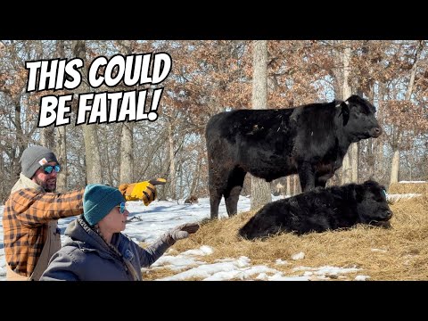 We Have A SERIOUS PROBLEM!