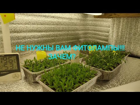 ЭТИ ЛАМПЫ ПОМОГУТ ВАМ ВЫРАСТИТЬ КРАСИВУЮ И ПРИЗЕМИСТУЮ РАССАДУ!!!
