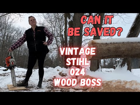 Vintage Stihl 024 Wood Boss Chainsaw! Tossed In The TRASH! What Will It Take To Run And Cut Again?