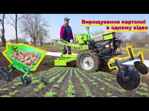 Як переселенці вирощують картоплю!