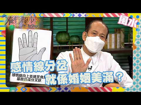 流行都市|感情線分岔就係婚姻美滿?|蘇民峰|手相|生活|資訊|風水命理|玄學|掌相