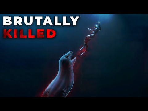 Worst Leopard Seal Attack in History - Kirsty Brown Incident