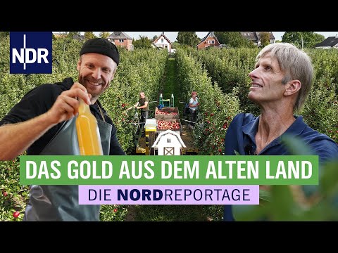 Apfelsaft, Cidre und Schorle - Hochsaison in der Mosterei | Die Nordreportage | NDR
