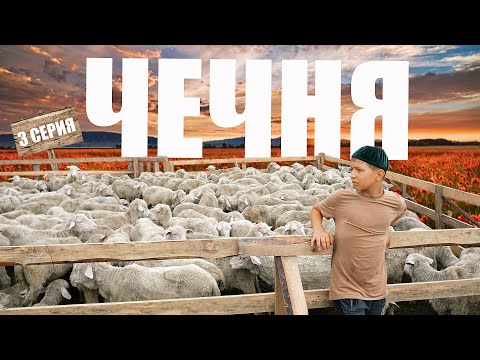 ЧЕЧНЯ Секретные места / Гостеприимство и опасное приключение на Водопад / в гостях у местных