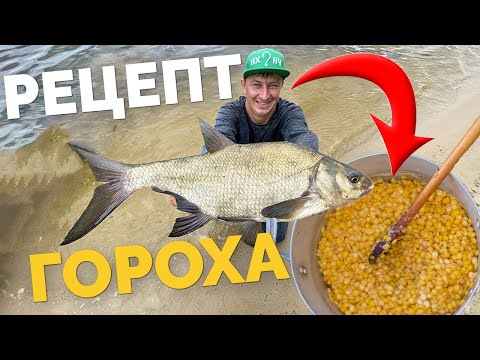 КАК❓правильно сварить ГОРОХ на КРУПНОГО ЛЕЩА 👉 Рецепт от Чемпиона мира 🏆СТРАШНО уловистый горох 💥