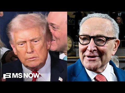 'An utter failure': Sen. Schumer rips Trump’s ‘state of delusion’ address