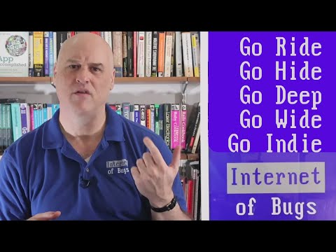 Strategies to Thrive as AIs get Better - Especially for programmers