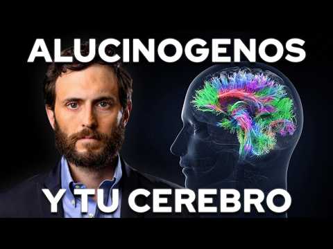 Así Cambian Tu Cerebro los Alucinógenos