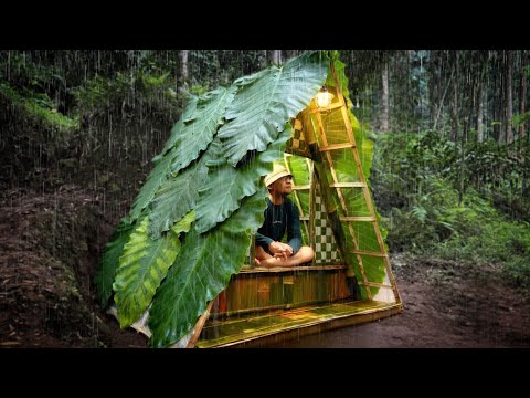Cozy Amazing Shelter in Heavy Rain, Camping Outdoor and Adventure