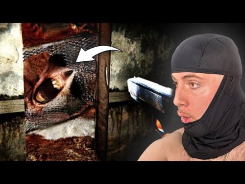 I got another gun in a scary game...