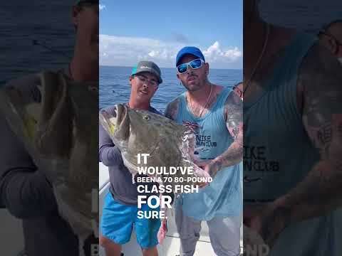 Massive Grouper gets eaten by Jaws! 😱 #shorts #fishing #wow #jaws #shark #scary #dangerous