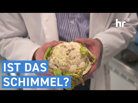 Ist das Schimmel? | Alles Wissen