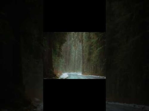 the aesthetic of twilight 🌙 || #twilight #edit #fyp