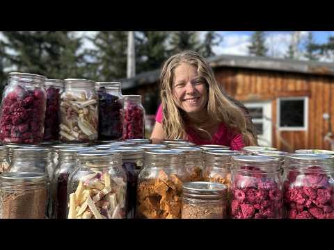 $3K Freeze Dryer…. PAID FOR ITSELF! Making $430/hr!