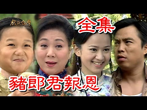 【戲說台灣】豬郎君報恩 全集