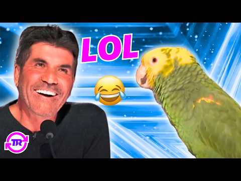 CRAZIEST Animal Acts You'll NEVER See Coming! š±