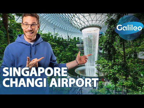 From indoor waterfalls to climbing gardens: Singapore's airport is exceptional!