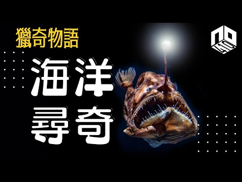 【神秘】EP34 : 人類對海洋的探索只有5%,大海之下究竟有甚麼不解之謎【神秘星期三 : 獵奇物語】(廣東話)