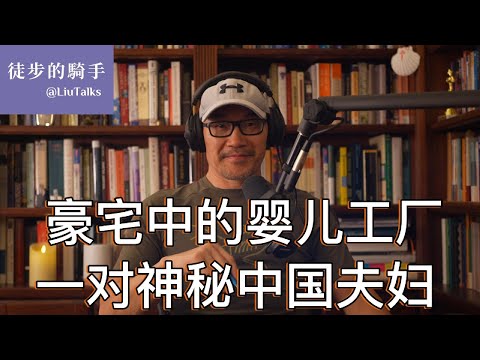 #091 一对中国移民,在加州批量生产22个孩子,FBI介入调查|媒体揭开一条令人震惊的跨国灰色产业链|为何很多中国人把法律空子钻到极端,把擦边球打到极端,把压榨模式玩到极端?