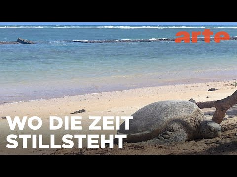 Maui und Moloka'i | Hawai‘i Reupload | ARTE Family