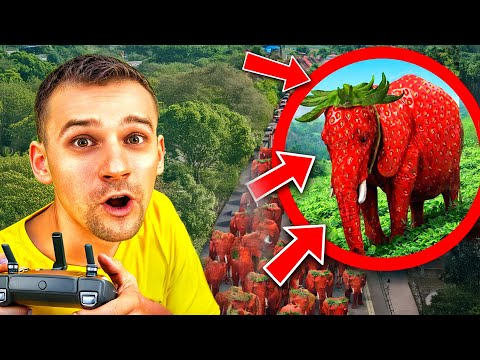 Мой дрон снял Strawberry Elephant в реальной жизни… Это было безумие 🍓🐘