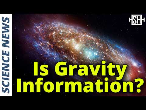 Gravity Proves That We Live In A Simulation, Physicist Claims