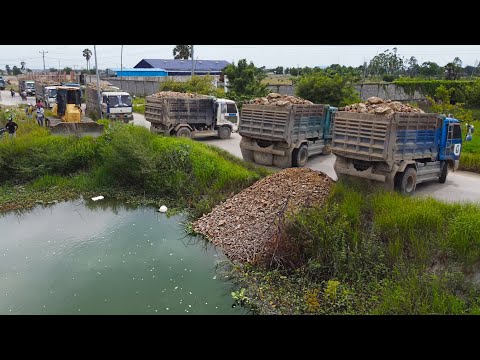 10 hour timer! Chilling Amazing 10 Project Include!! Land filling by Dozer with Dump Truck team