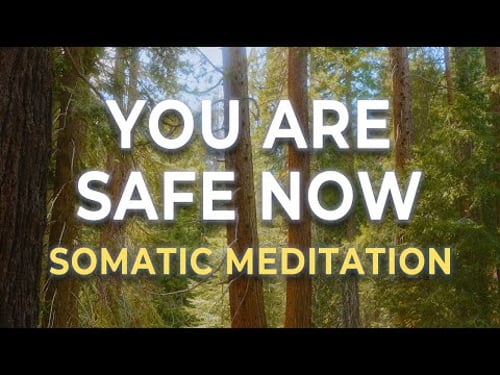 Rewire Your Brain for Safety | Somatic Meditation for Trauma Healing