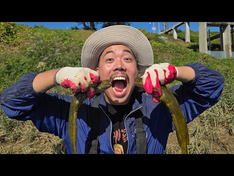 Let's eat the precious fish we caught by collecting 200 traps!