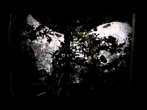 Cartier - Promenade d_une Panthere watch.flv