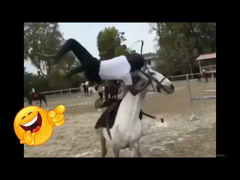 🧠🐷 Animais de Fazenda Espertos e Engraçados - Parte 14 | Você vai morrer de rir! 😂**