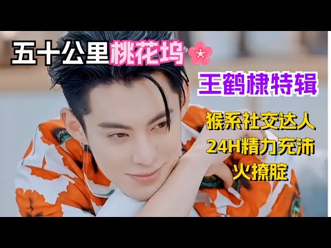 带你认识桃花坞第一帅💖王鹤棣!社牛爱吃爱玩爱撒娇,还爱rap和打篮球!是谁狠狠心动了!【五十公里桃花坞特辑】王鹤棣|李雪琴|宋茜|汪苏泷|宋丹丹 #综艺 #搞笑