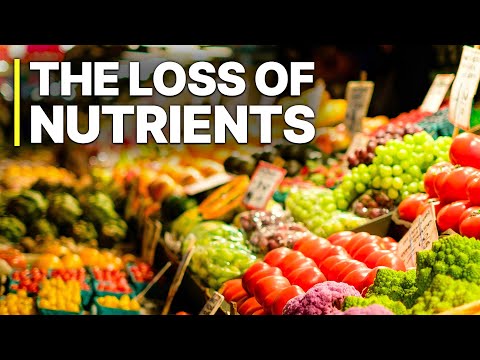 Industry Scandal: The Loss Of Nutrients | Full Documentaries