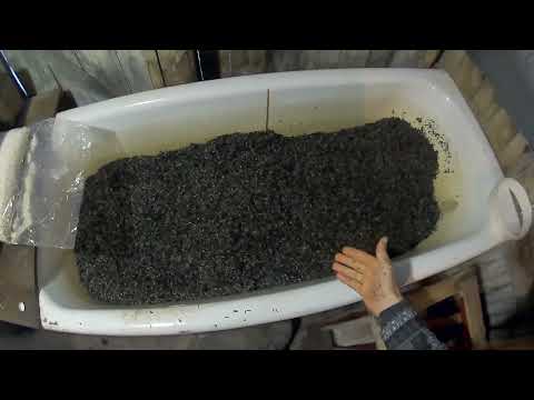 Посев Мицелия на Субстрат формирование Грибного Блока для выращивания Грибов Вешенка