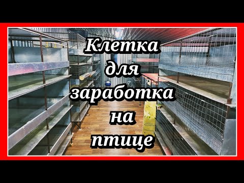 Хочешь ЗАРАБОТАТЬ на ПТИЦЕ в ЛПХ? Делай ТАКИЕ брудеры и клетки