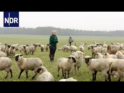 Tradition trifft Talente: Die jungen Heidjer | die nordstory | NDR