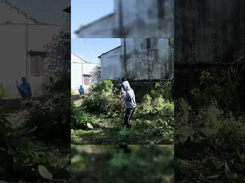 It Took Us 3 Hours to Clean This Garden
