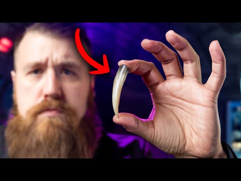 The Navy Classified These 3 Ocean Discoveries