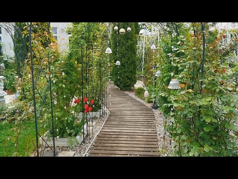 О поддержках для высоких роз в моем саду