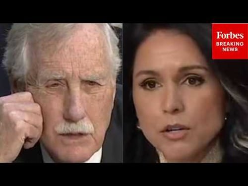 'Is It Occurring?': Angus King Asks Tulsi Gabbard Point Blank If Russia Is Sharing Intel With Iran