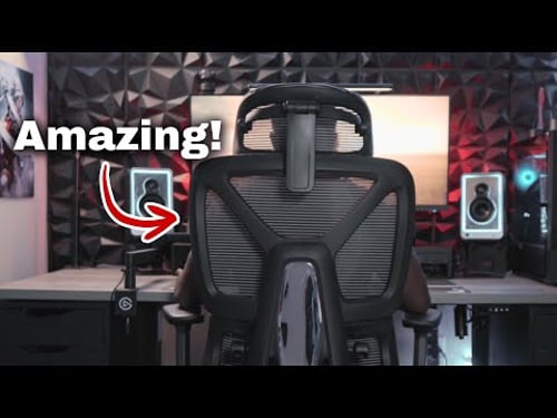 The Best Office Chair of 2025! | Flexispot ErgoX Premium Review