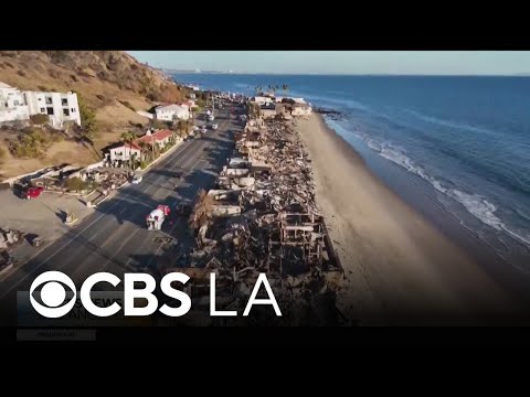 Trump issues executive order assuming control of Los Angeles wildfire rebuilding efforts