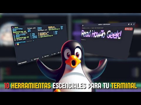 Discover the Best Linux Terminal Tools
