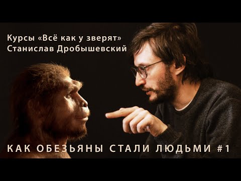 Станислав Дробышевский "Как обезьяны стали людьми" #1 // курсы юного натуралиста "Всё как у зверят"
