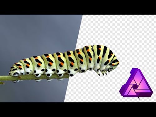 How To Remove Background in Affinity Photo - Selection Brush Tool