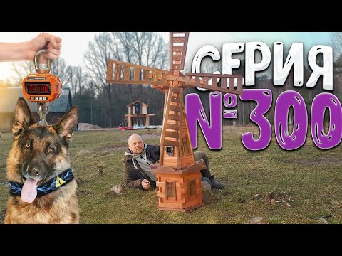 Летний домик под снос . Сколько весят наши ярки ? Ошейники для овчарки Дика. Юбилейная серия .