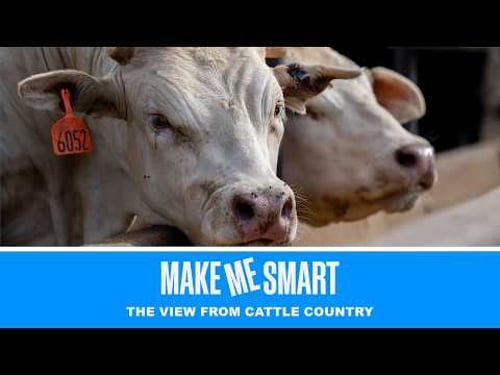 The view from cattle country | Economics on Tap | Make Me Smart Livestream
