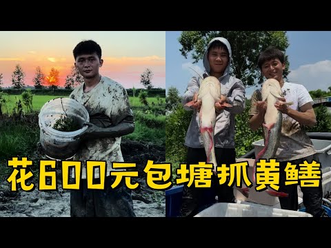 水猴子花600元包塘抓黄鳝,每抓起一条大爷来年都会少一点损失,这次盘老板很有意义!