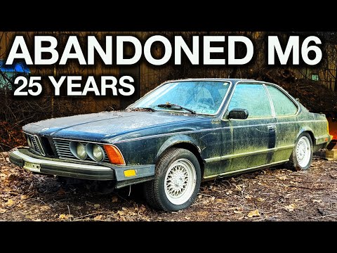 Abandoned BMW M6 First Wash in 25 Years! Surprising Doctor With Huge Transformation